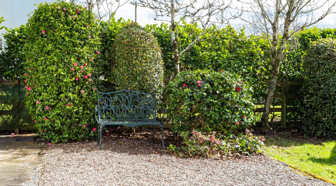 Photo: Niamh Whitty/www.pictureitsold.ie
