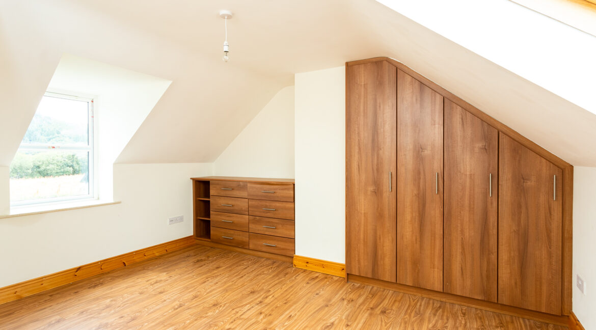 Photo: Niamh Whitty/www.pictureitsold.ie