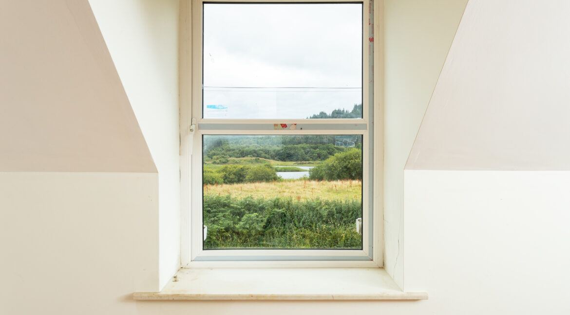 Photo: Niamh Whitty/www.pictureitsold.ie