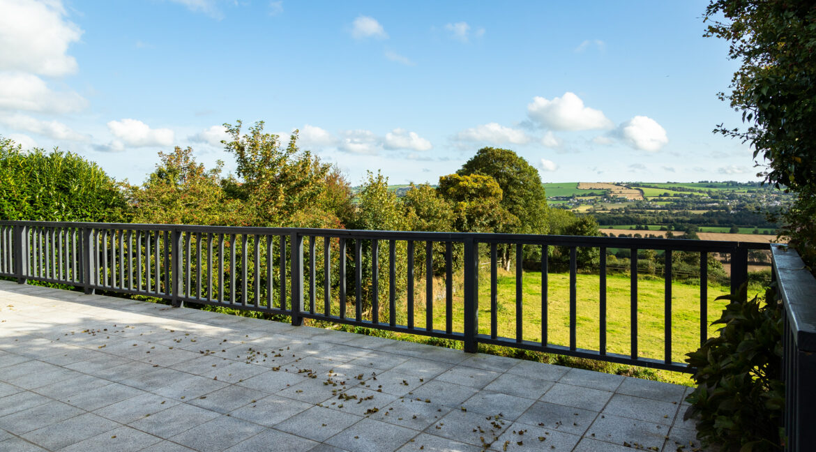 Photo: Niamh Whitty/www.pictureitsold.ie