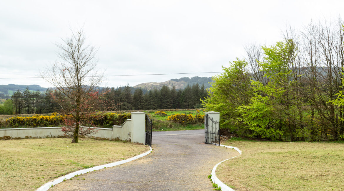 image 013