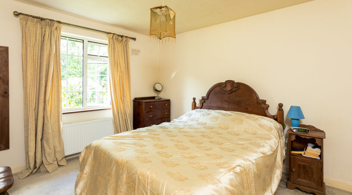 Photo: Niamh Whitty/www.pictureitsold.ie