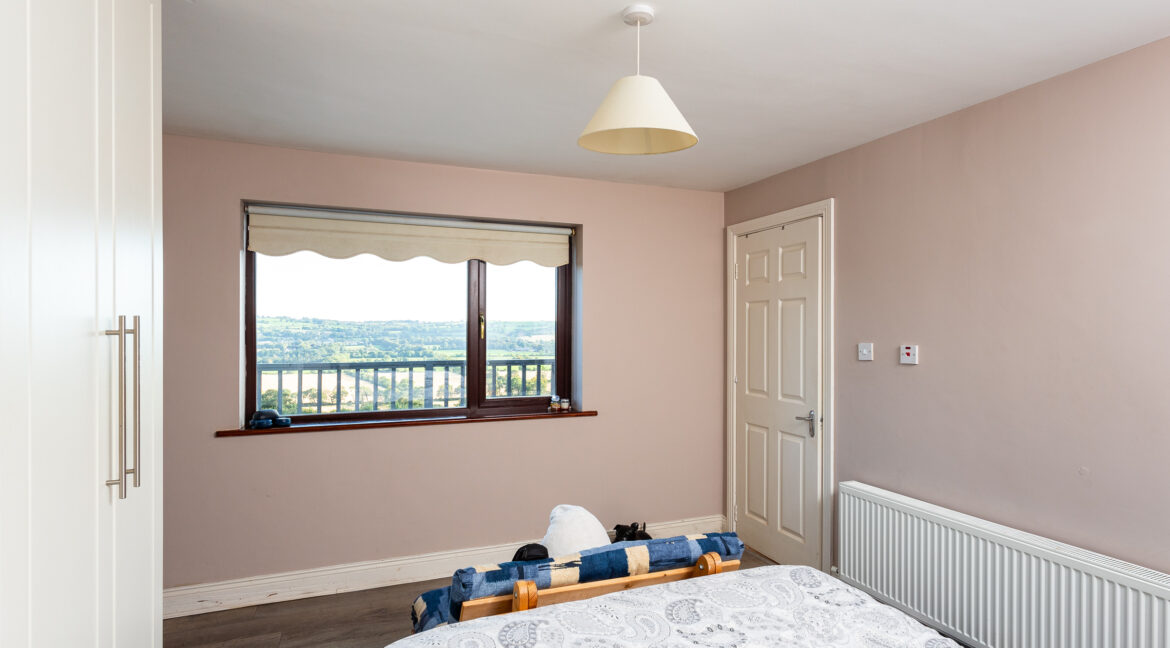 Photo: Niamh Whitty/www.pictureitsold.ie