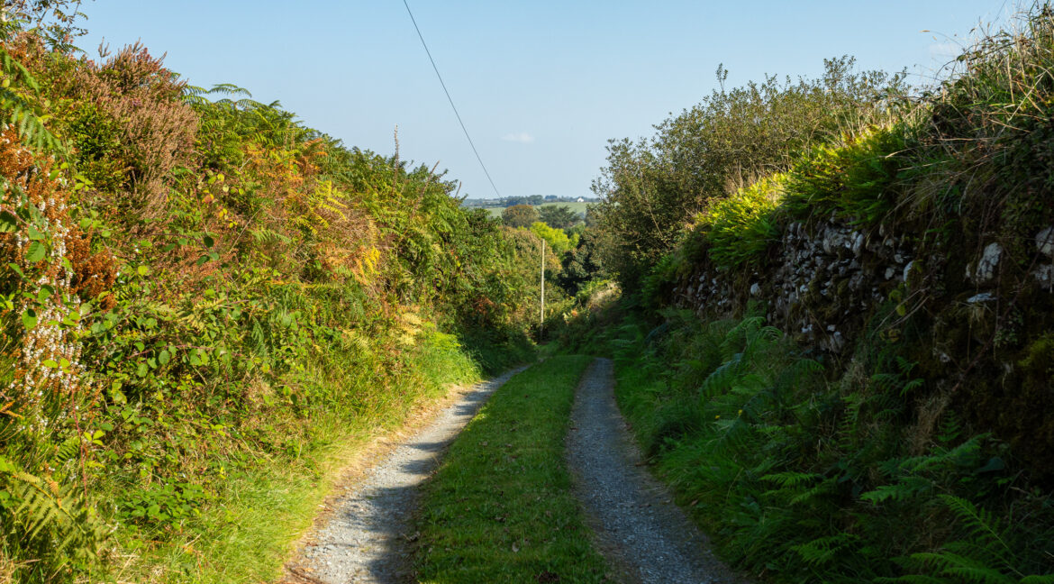 image 013 (2)