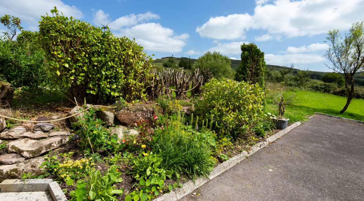 image 018