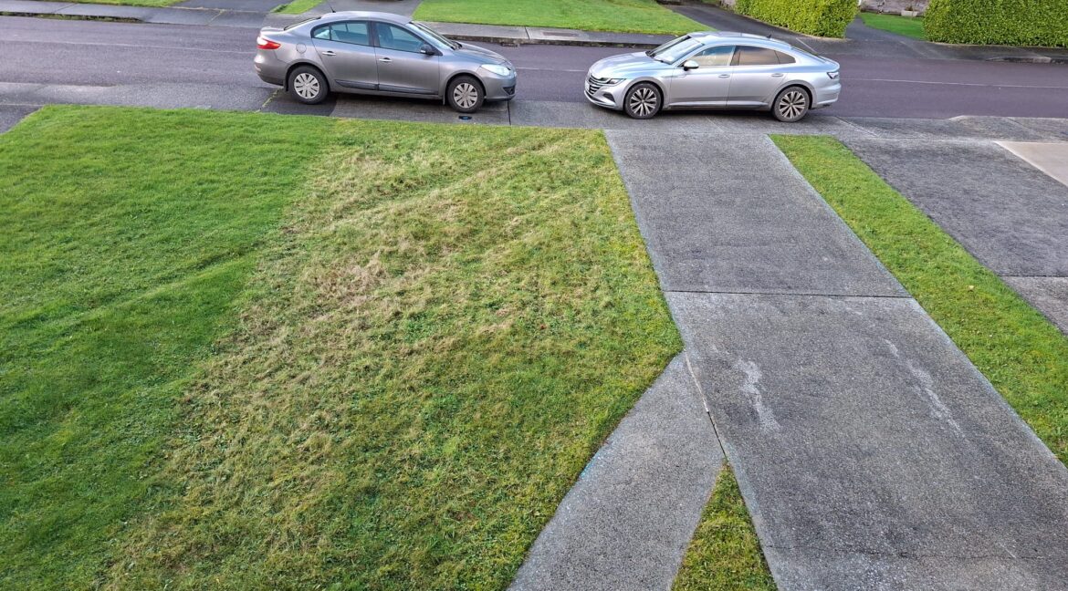 946d07a7-cbea-4dfb-b5c8-3bd912292d4b