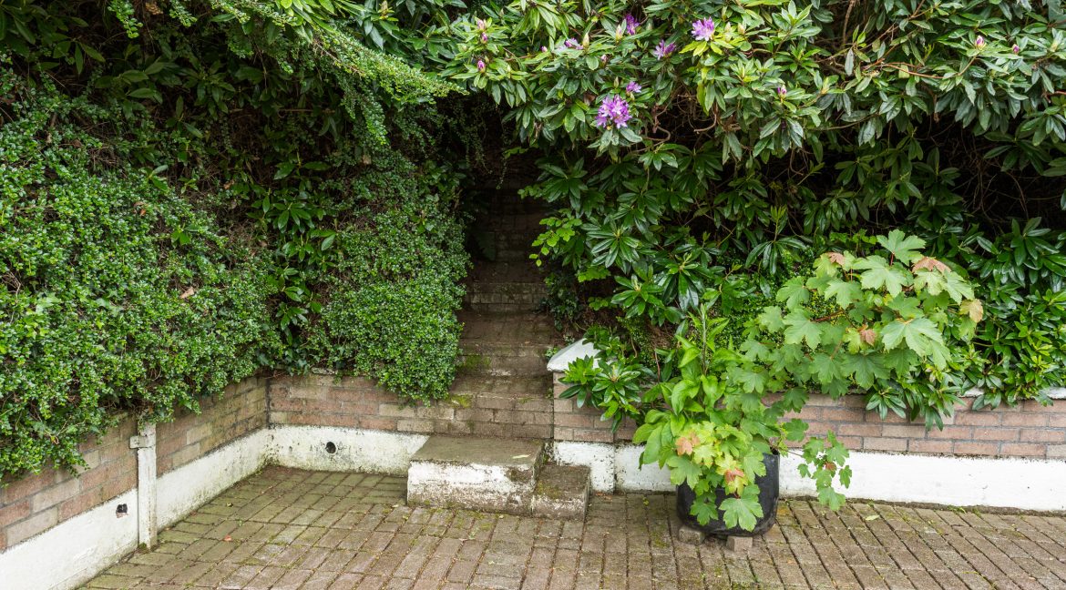 image 013