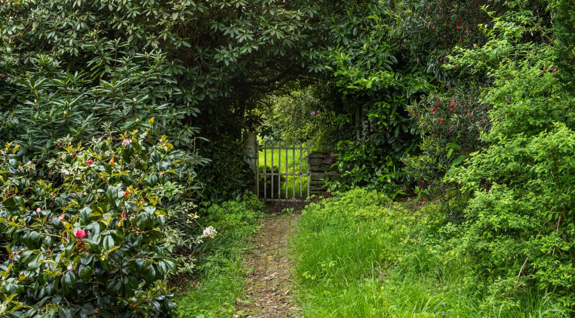 image 016