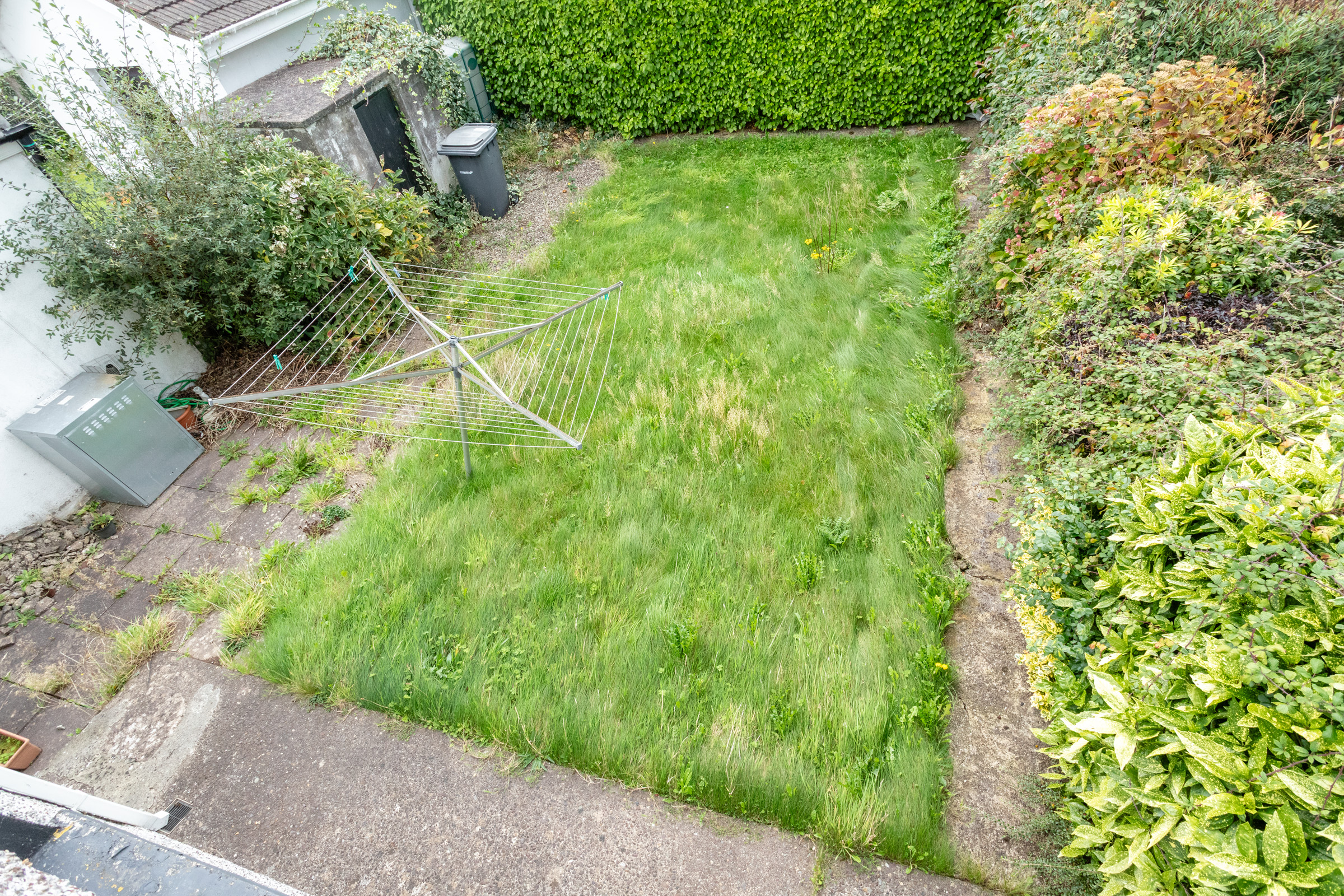 image 024